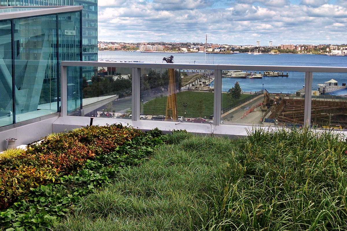 Living Roof Trays