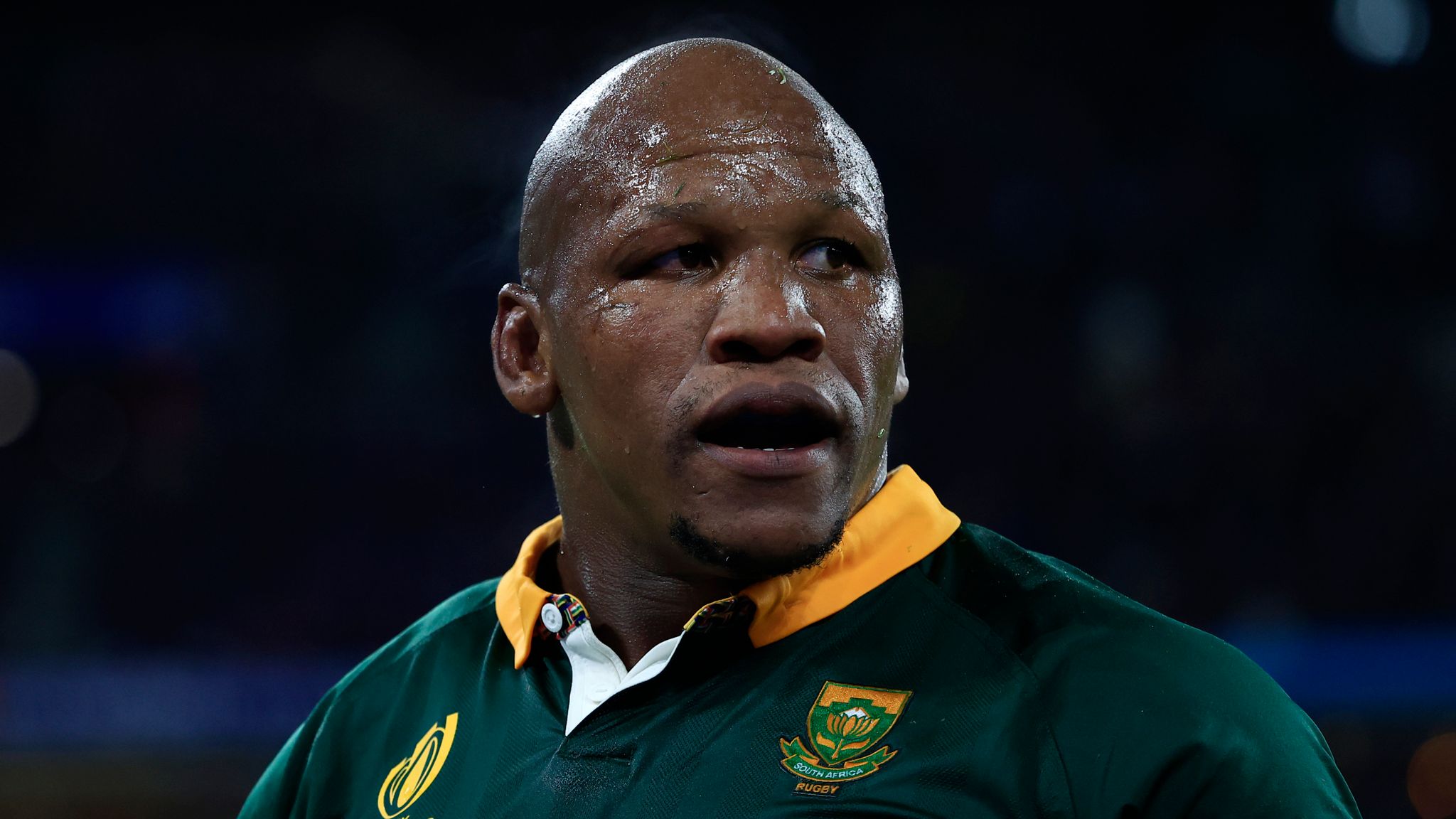 bongi mbonambi
