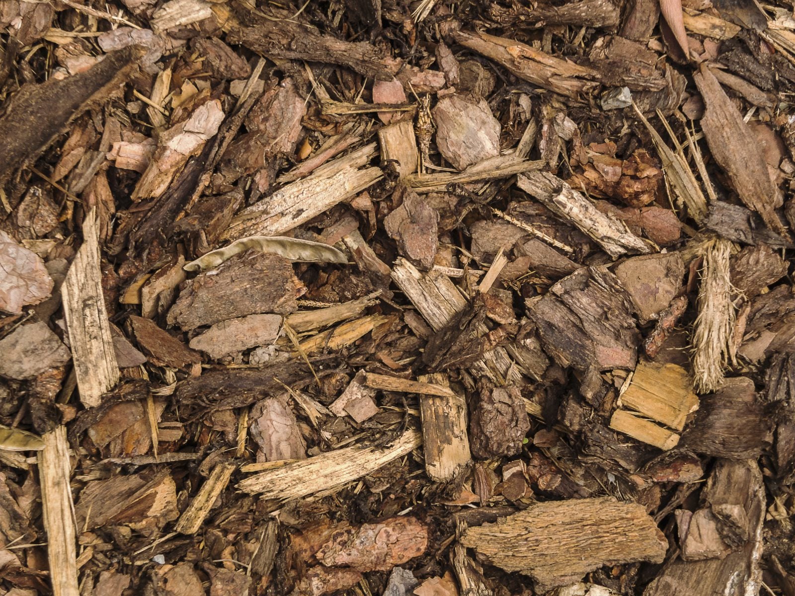 Wood chips