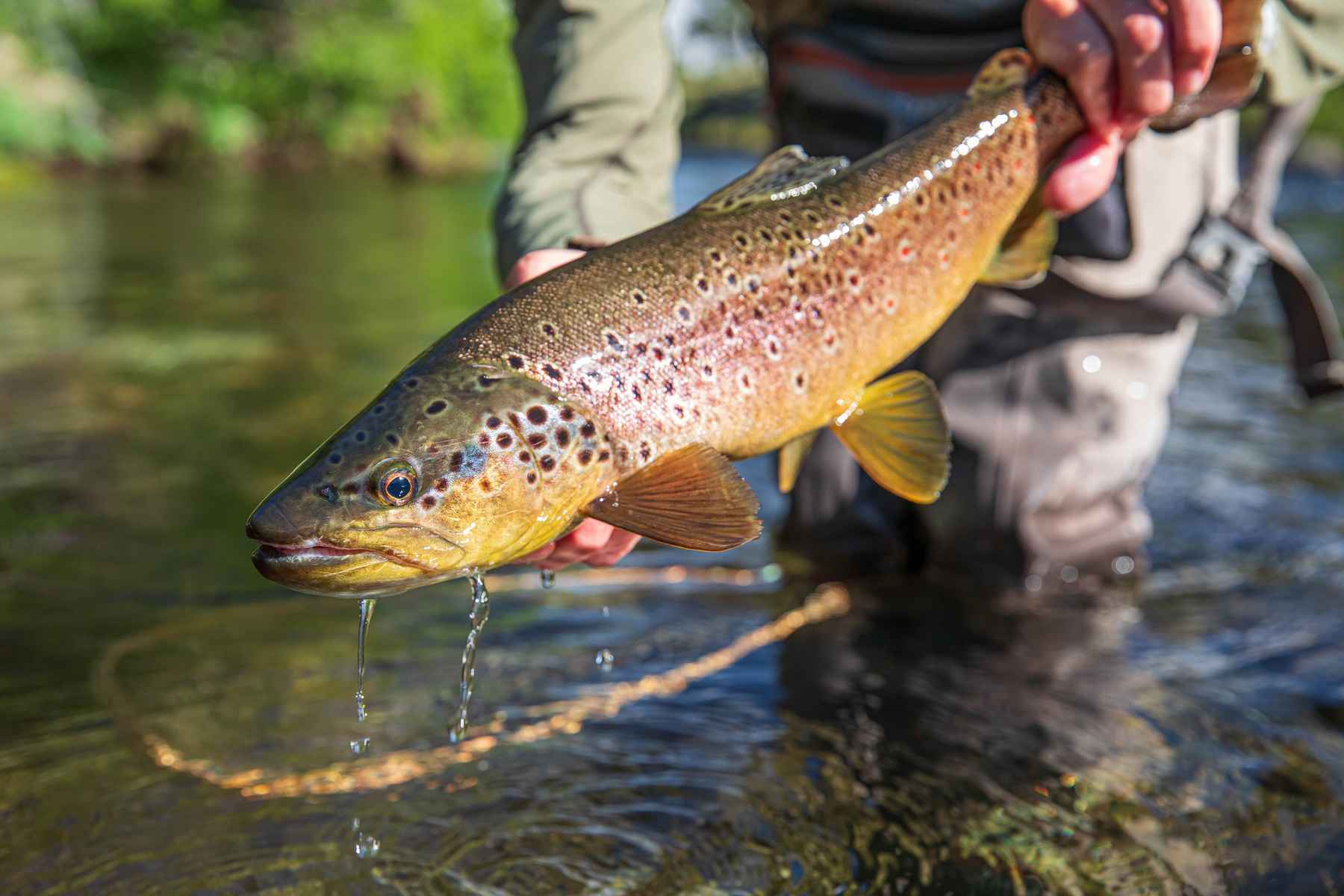 fly fishing kit