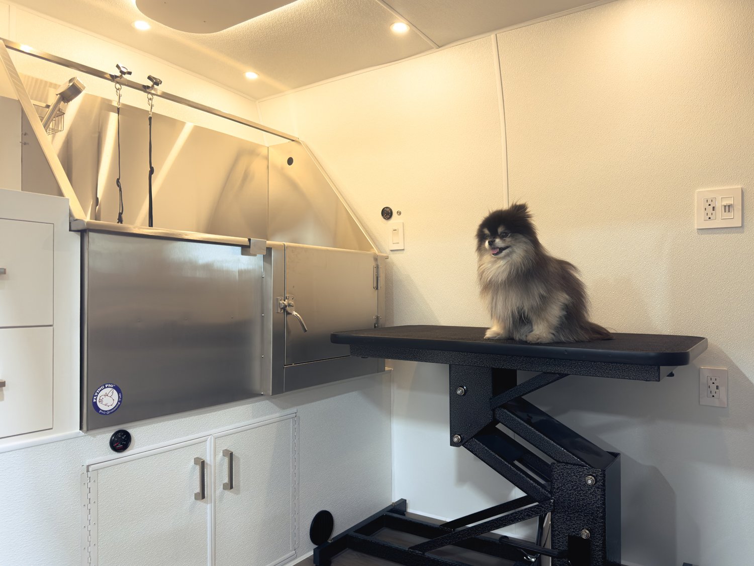 mobile dog bath