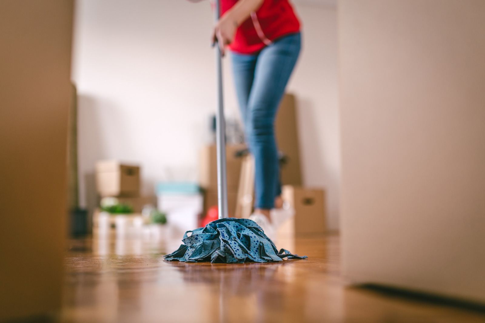 House Cleaning Santa Barbara