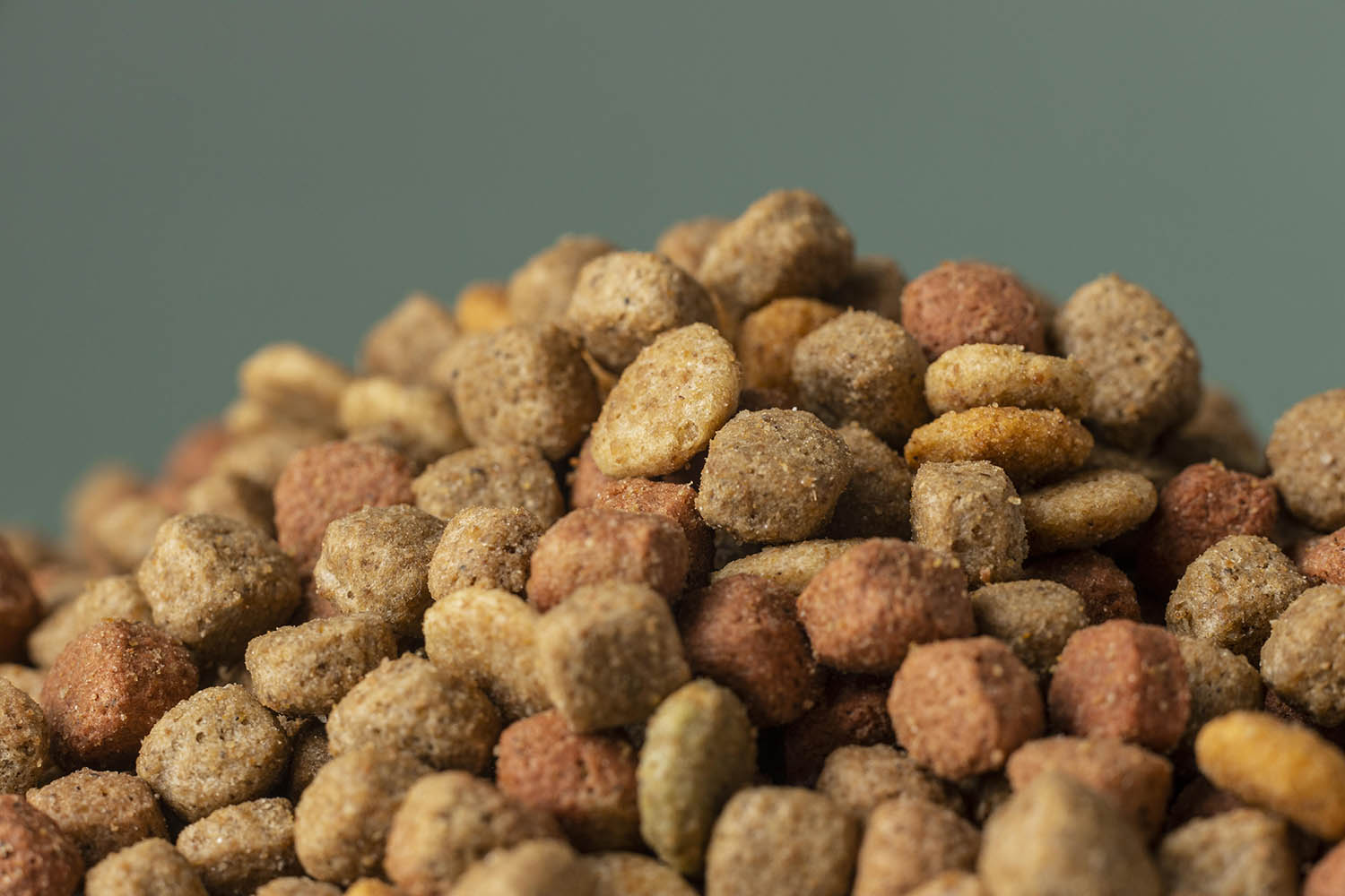Dog food