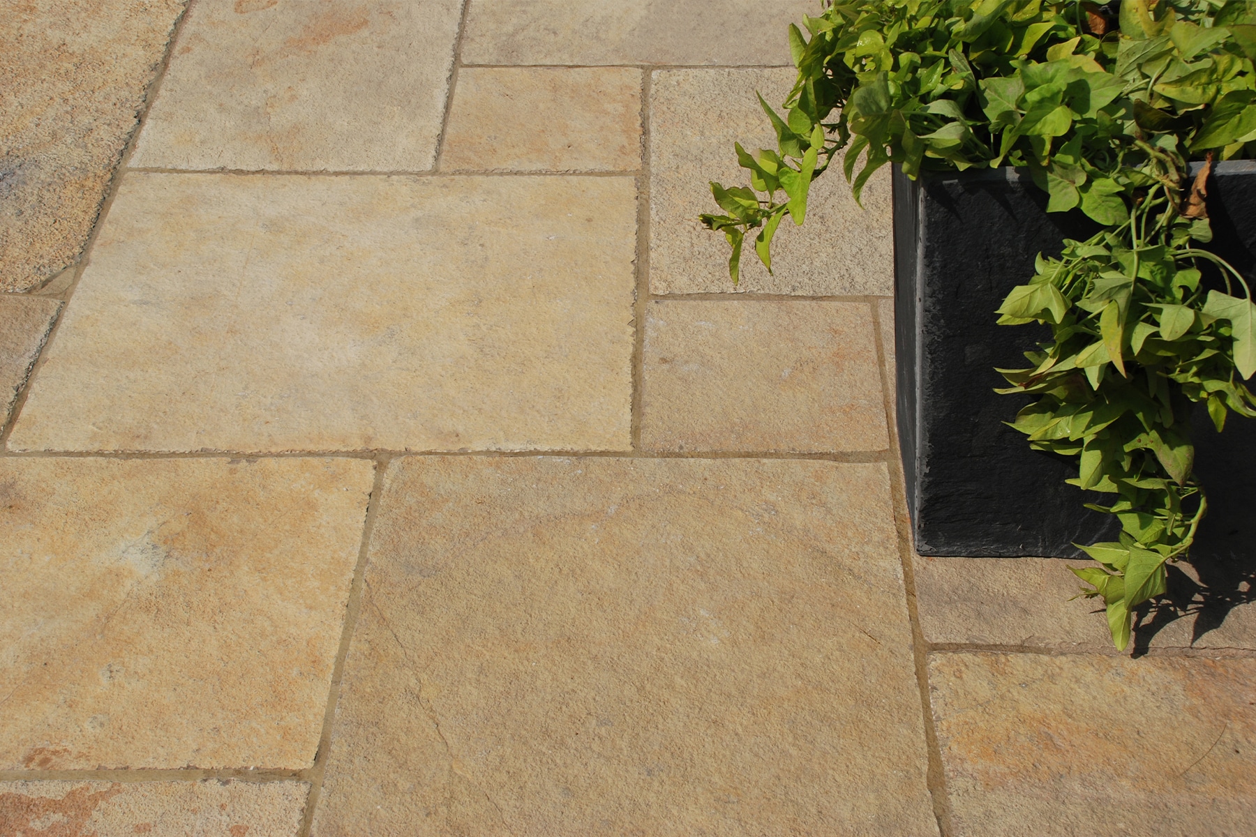 Lueders limestone