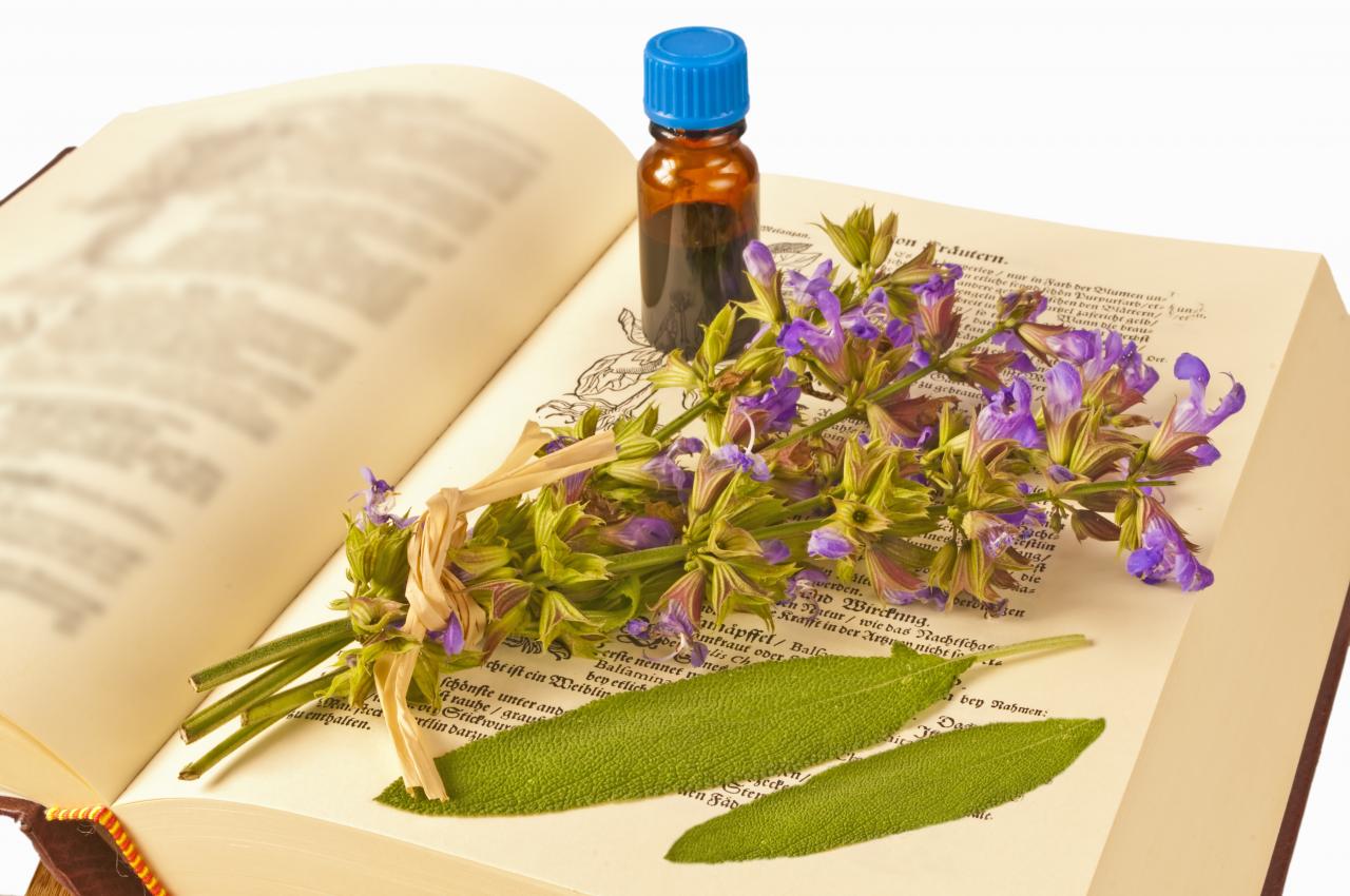 Bio Ashwagandha Tee kaufen