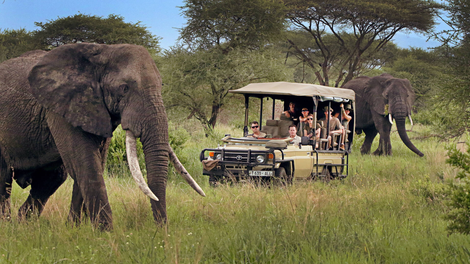 10 Best Tanzania Safari Moments You’ll Treasure Forever