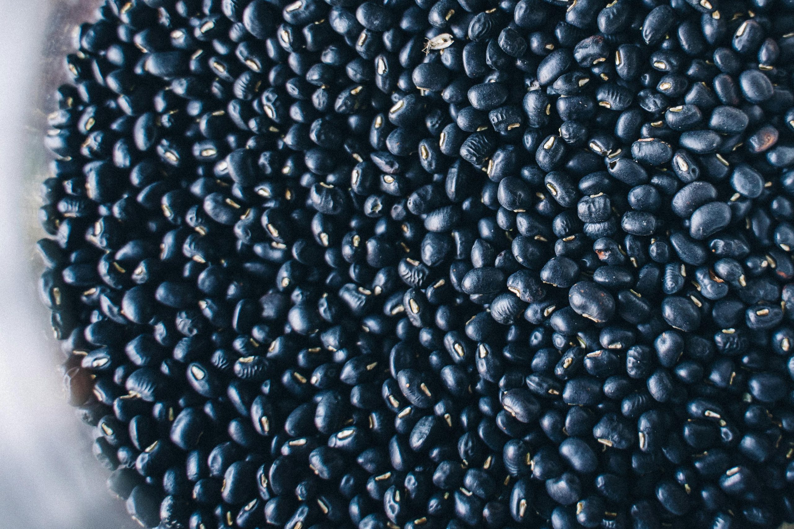 Blue poppy seeds
