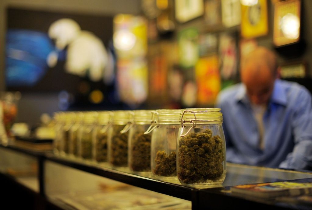 Cannabis store near me